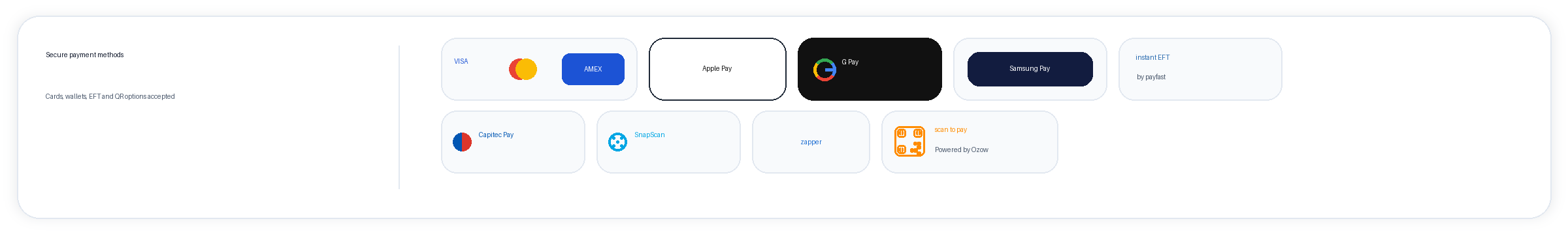 Accepted payment methods including cards, Apple Pay, G Pay, Samsung Pay, Instant EFT, Capitec Pay, SnapScan, Zapper and scan to pay.
