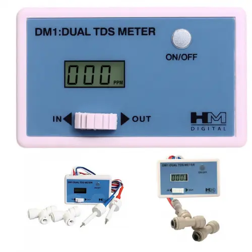 DM1