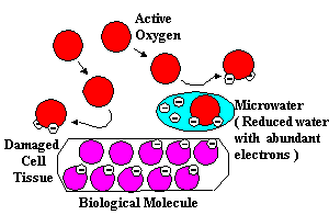 water ionizer active oxygen