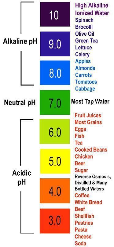 How to perform the Saliva pH Test – Designer Water South Africa